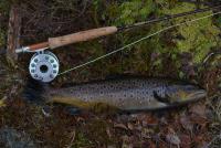 post-5105-0-20616400-1351183318_thumb.jp