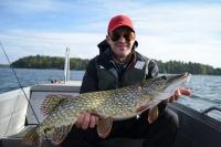 post-9503-0-20161700-1349206423_thumb.jp