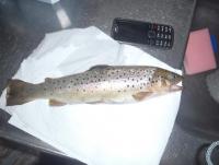 post-9839-0-05194000-1350233510_thumb.jp