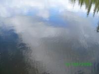 post-293-1226503694_thumb.jpg