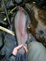 post-10822-0-14476600-1352478105_thumb.j