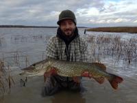 post-7155-0-14010500-1352127412_thumb.jp