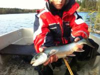 post-8885-0-83409200-1351803288_thumb.jp