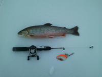 post-9237-0-31751000-1354652504_thumb.jp