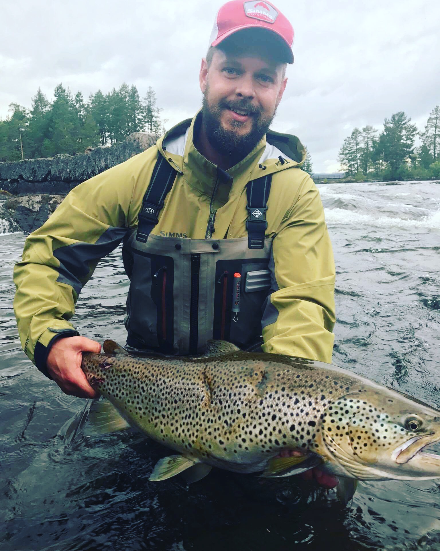 Veckans fisk v29