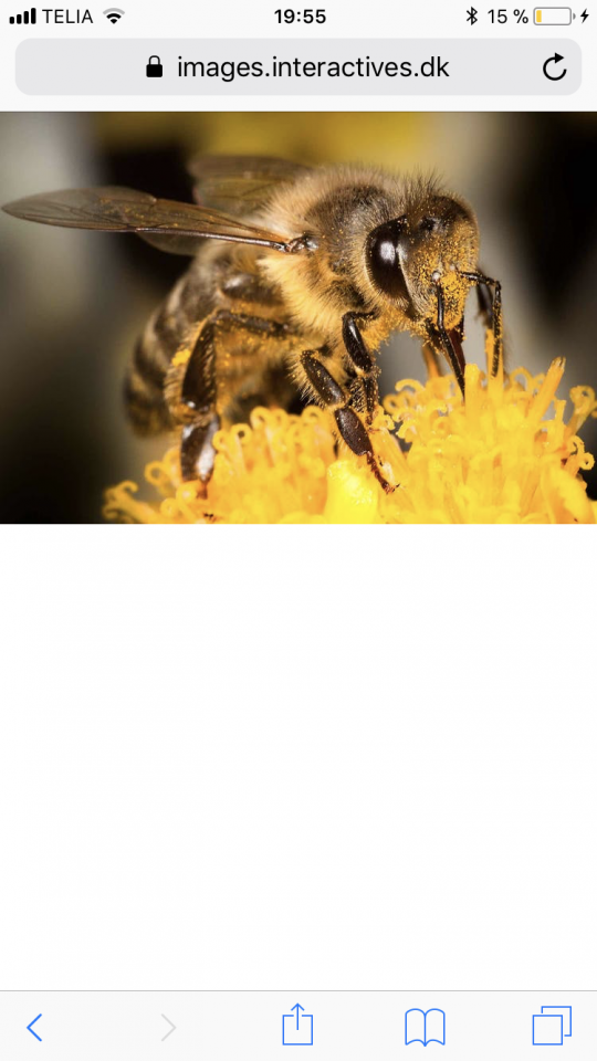 B01B2950-A97C-4E93-9A66-C6C475EC0C57.png