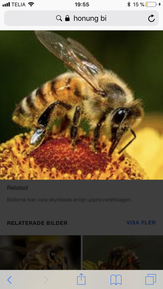 DBEE1F38-A961-4D93-9B83-3AFE40012FF7.png