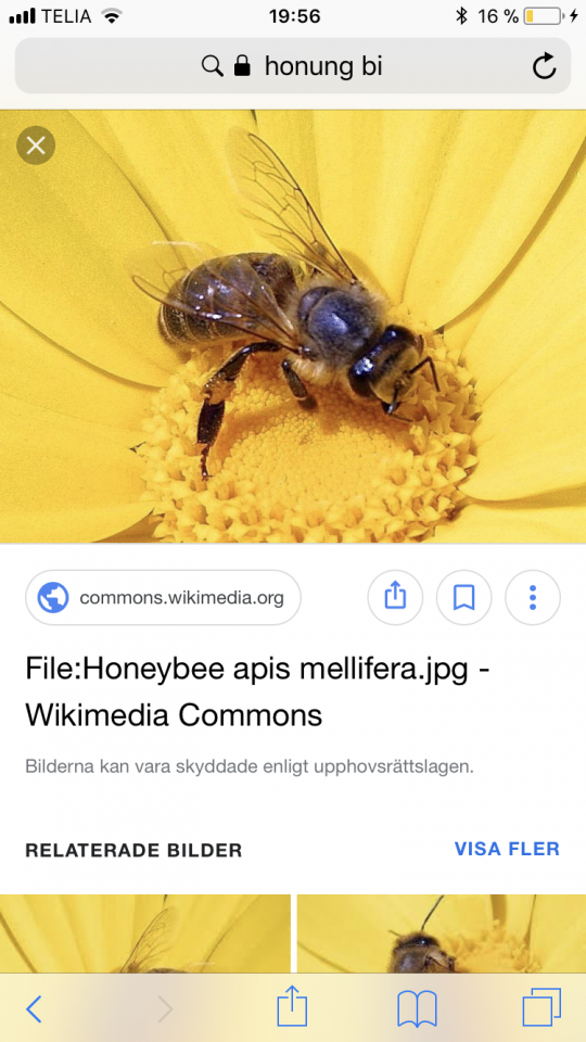 E2C82D36-957F-40C0-9B1F-33DBBF6D5037.png