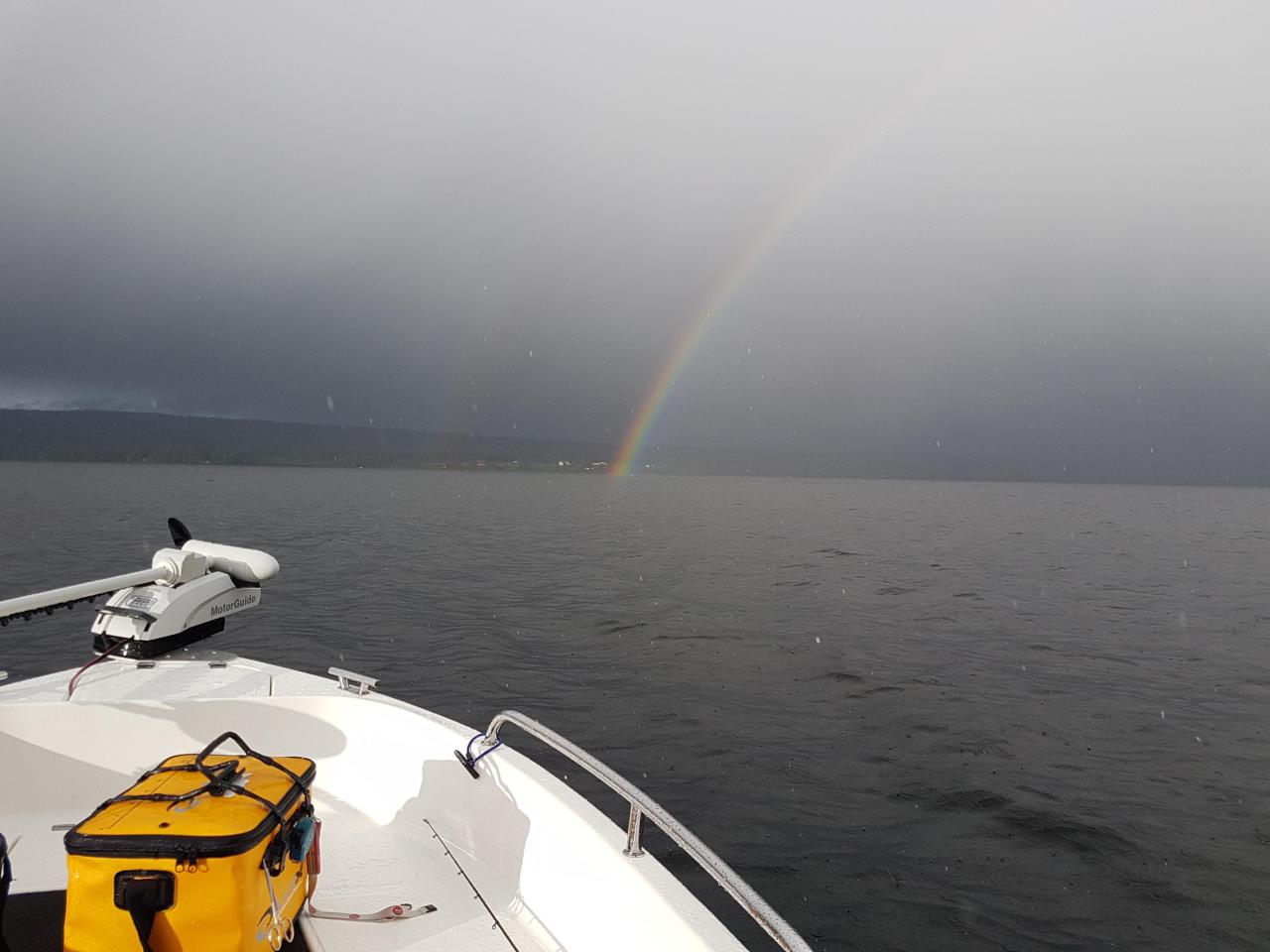 20190529_195536.jpg