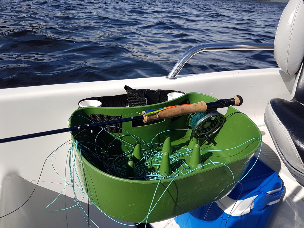20190530_095509.jpg