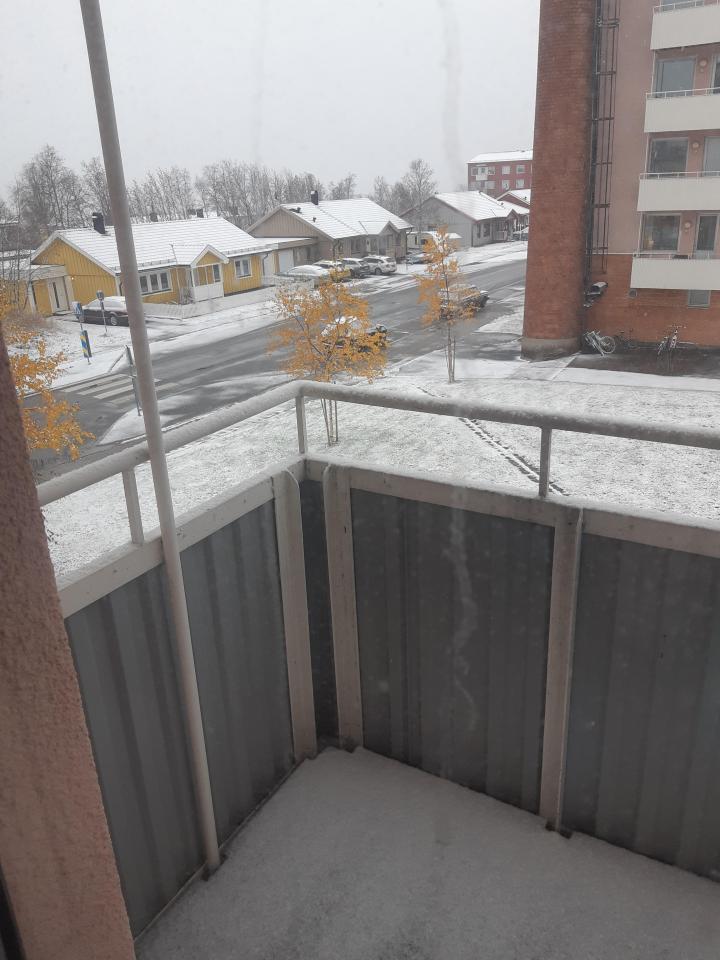 20211008_113451.jpg