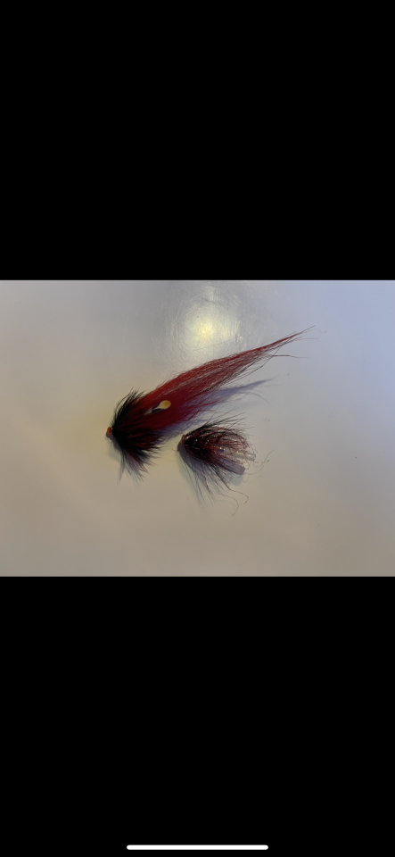 IMG_0329.png