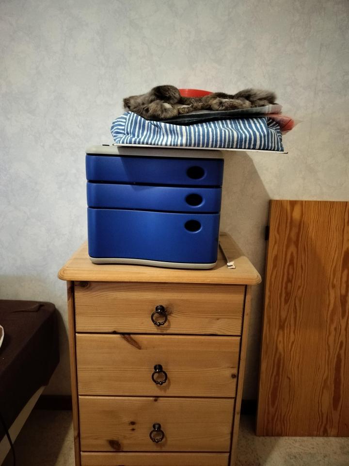 IMG20250605004044.jpg