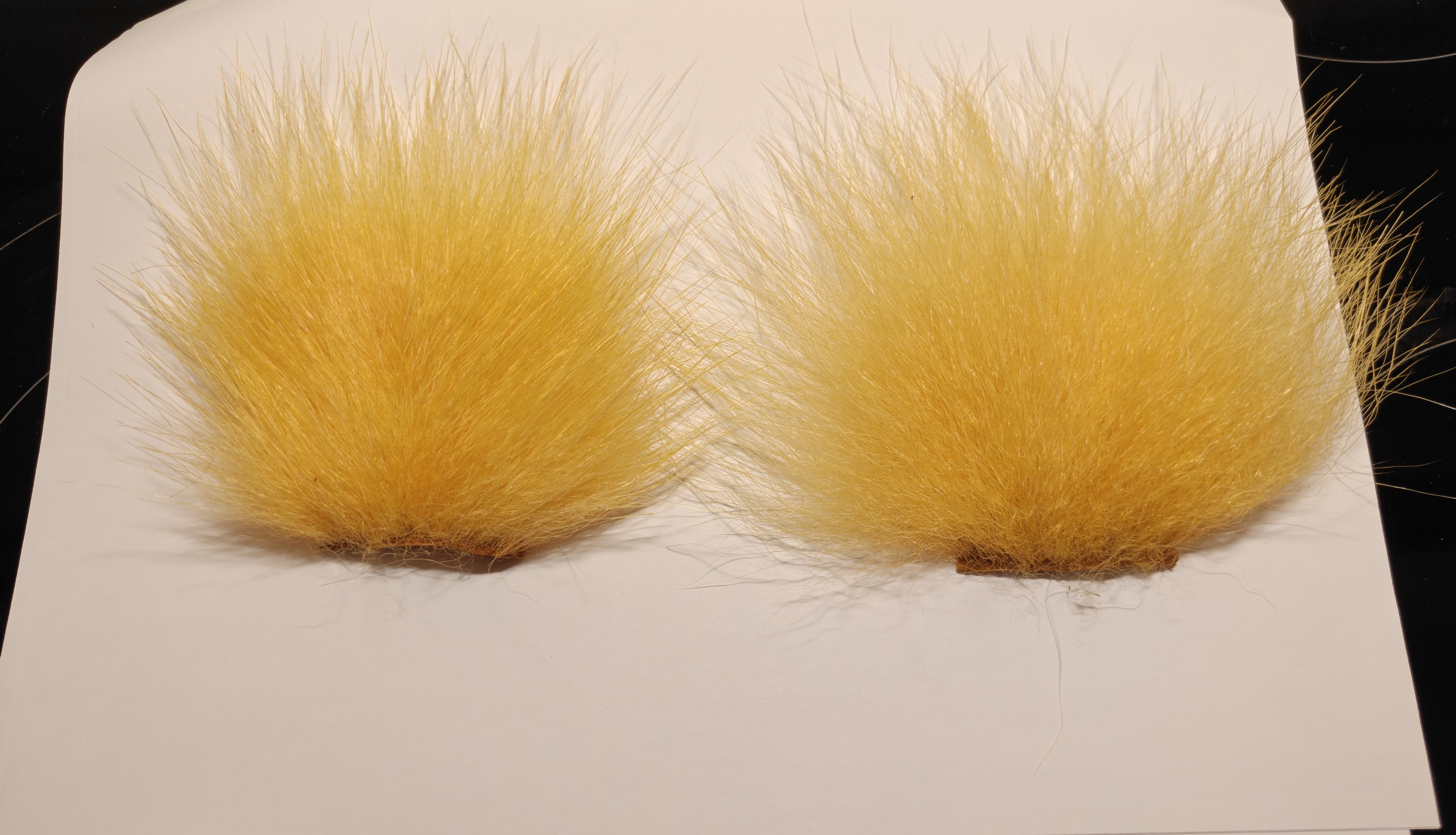 Farvet Isbjørn/ Dyed Polar Bear