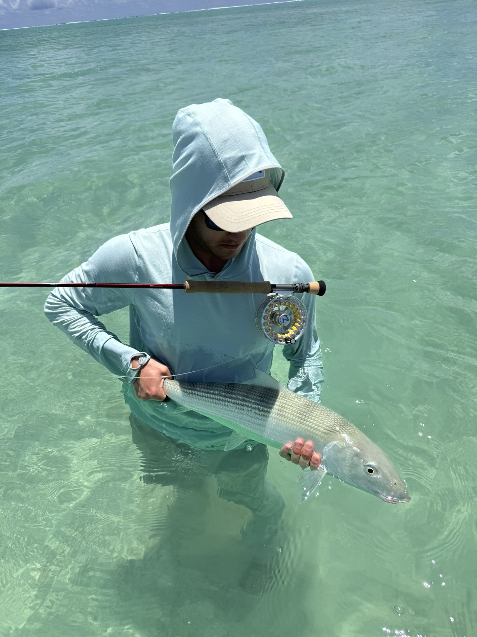 IMG_1183.JPEG