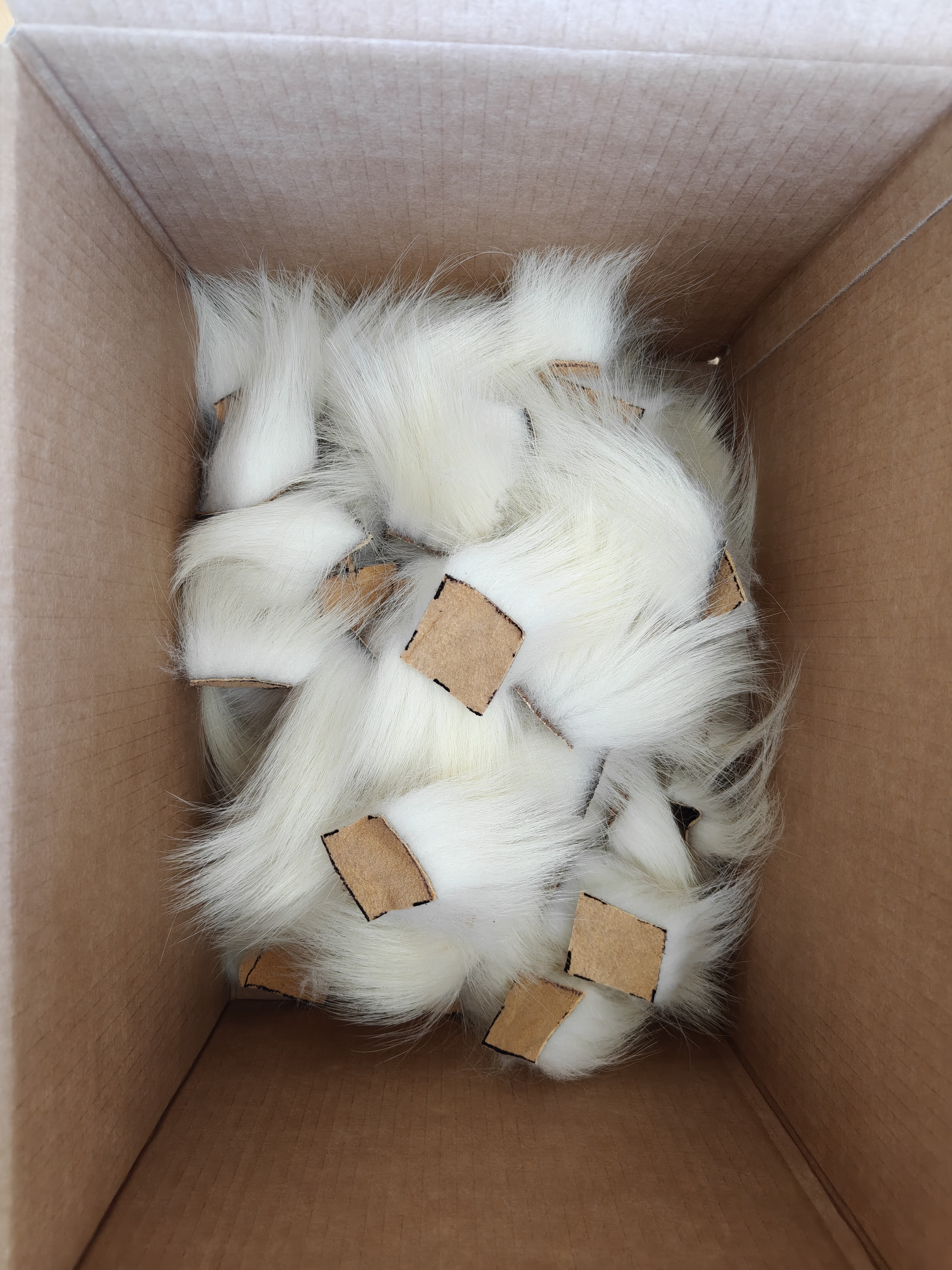 Hvid Isbjørn super kvalitet m/CITES