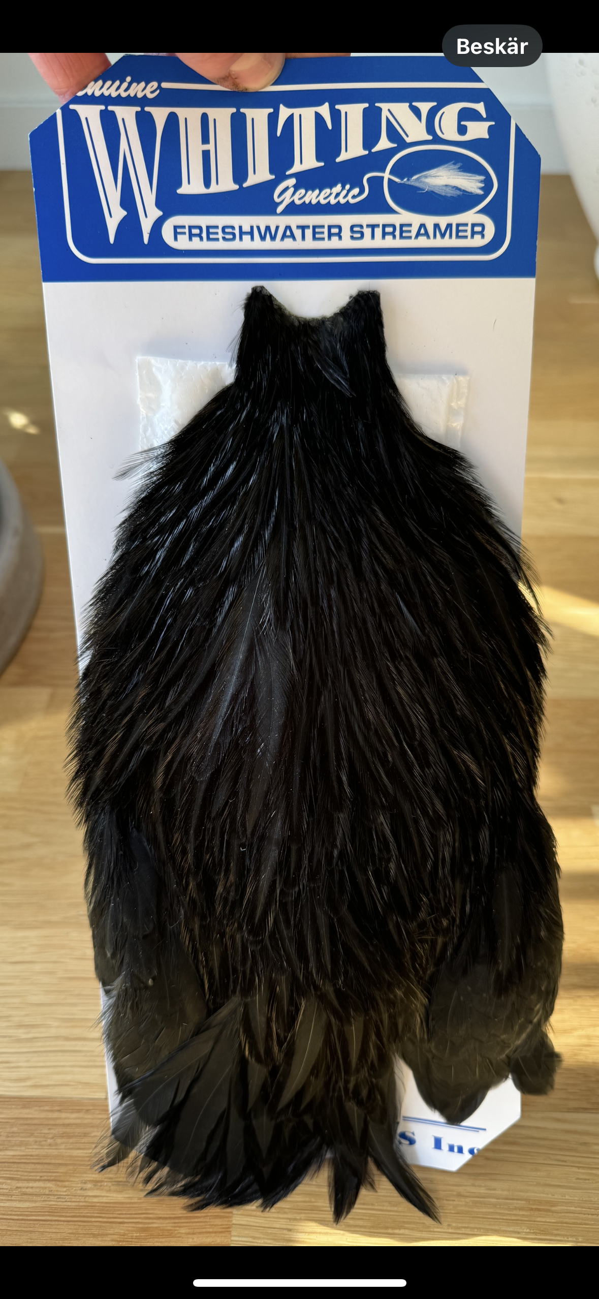 Whiting streamer nacke