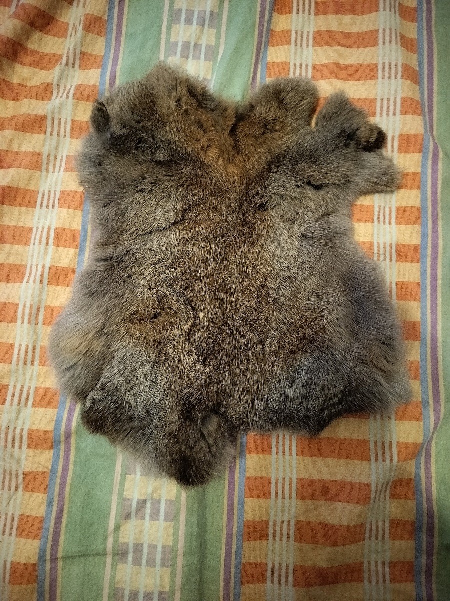 Hur går det med Flugbindningen ..så här på Vårkanten??