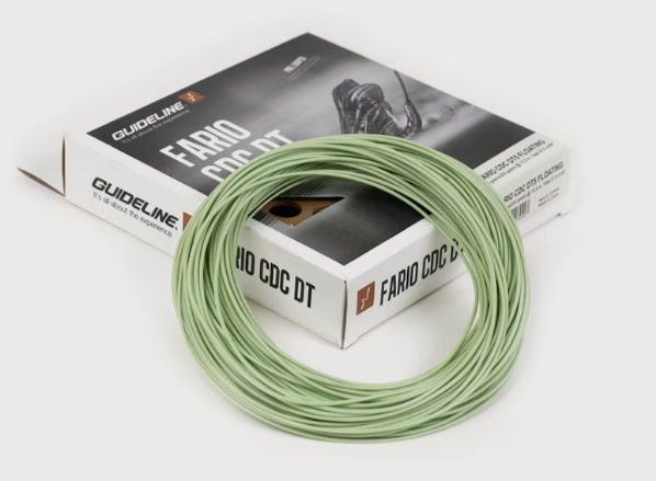 Guideline Fario Cdc DT #2