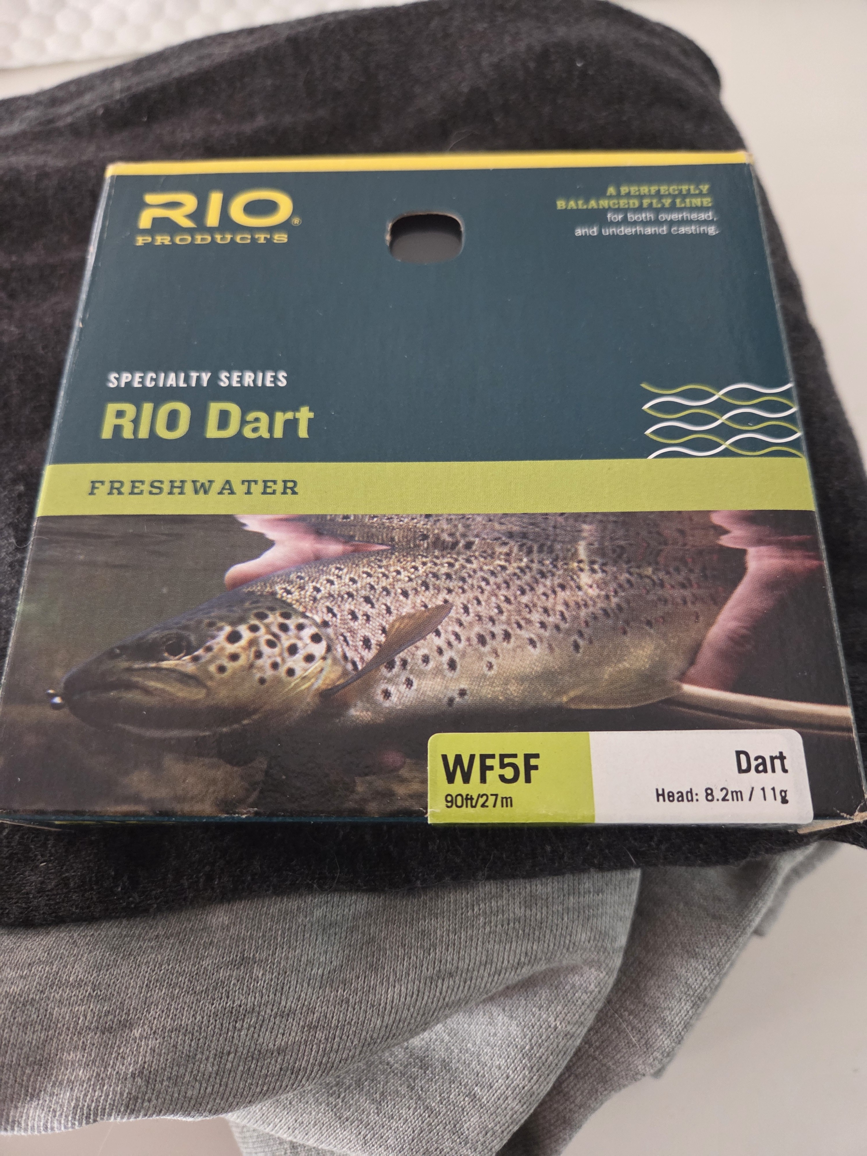 Rio Dart