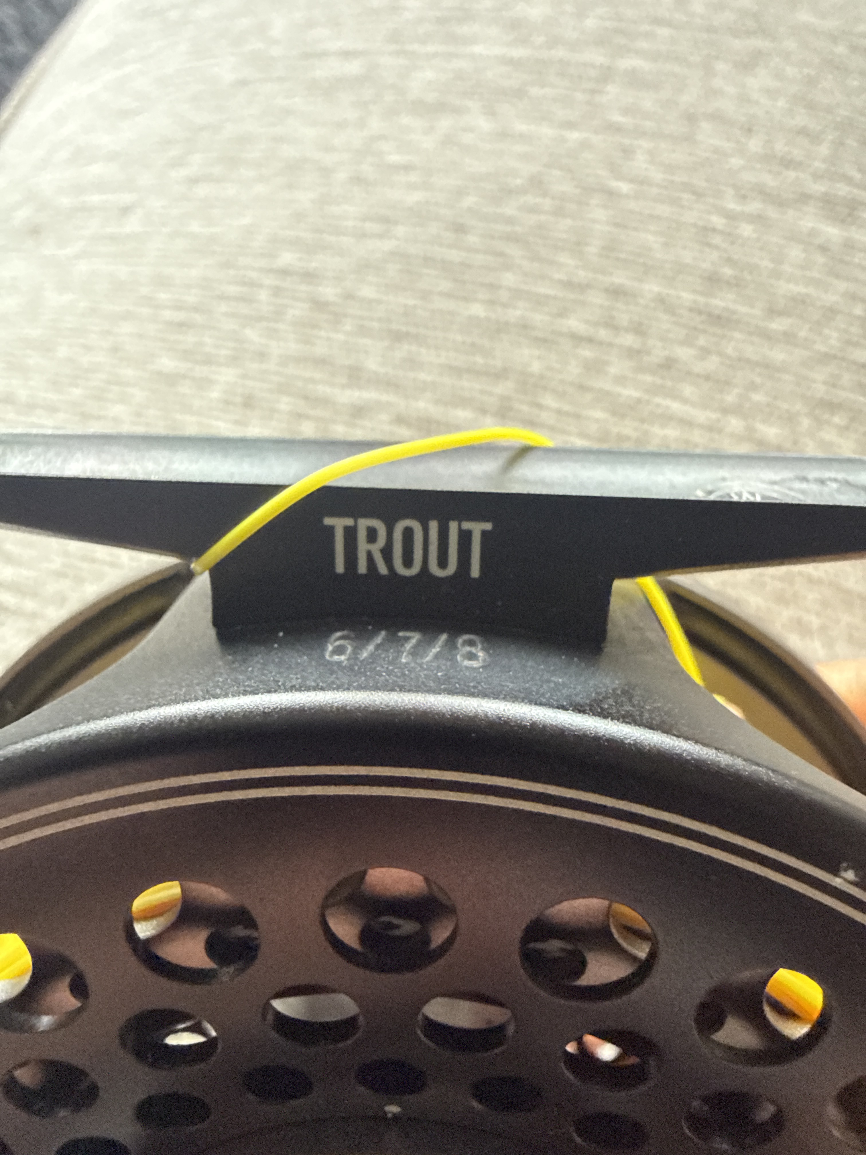 Sage trout 6/7/8