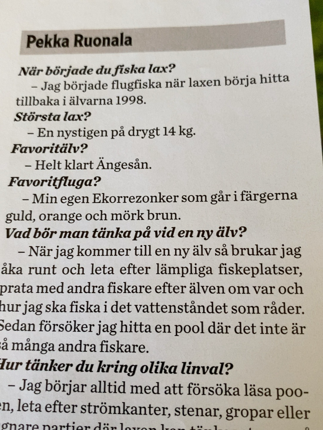Pekkas Ekkorfluga
