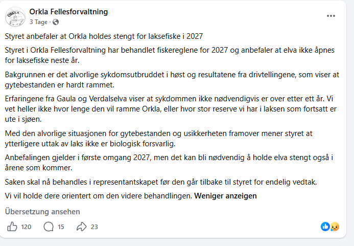 Fellesforvaltningen rekomendera att fisket Orkla och Gaula stängs hela 2027