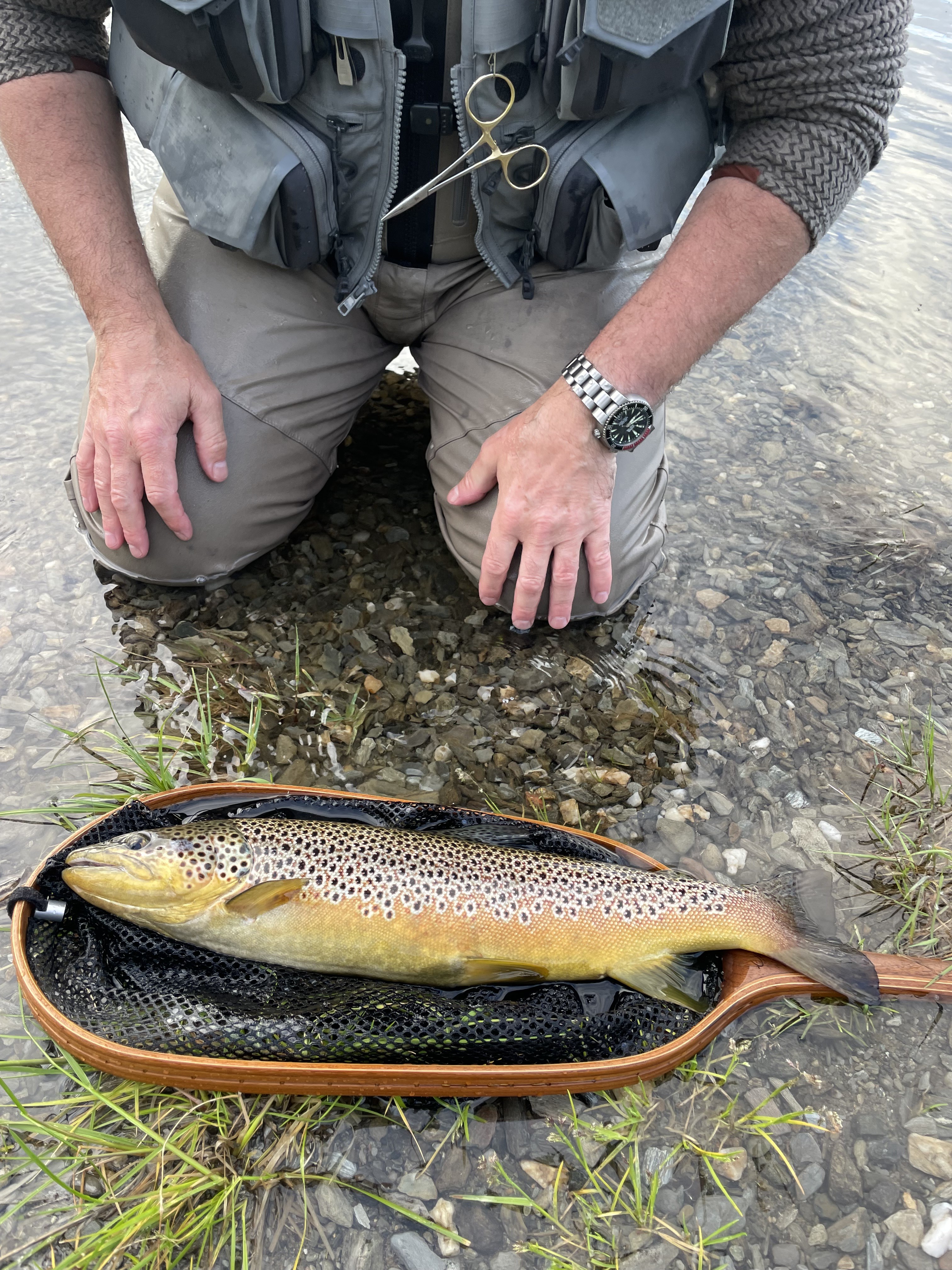 Yellowdog - 5 weight shootout