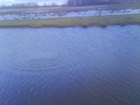 post-7-1201434434_thumb.jpg
