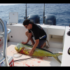 mcflyfisher