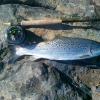flyfisher_64